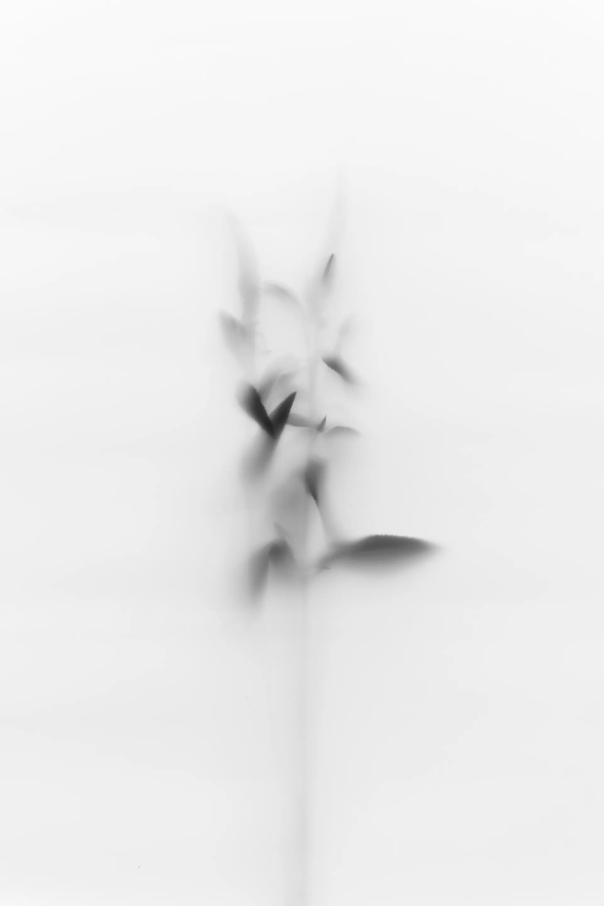 Soft grey abstract forms